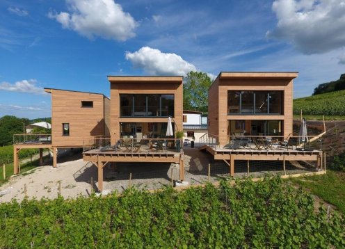 COTTAGES WITH PANORAMIC VIEWS IN CHAMPAGNE.